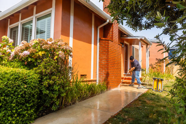 Best Affordable Power Washing  in Penngrove, CA